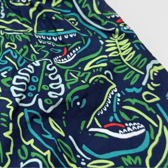 Old Navy Rashguard Swim Top Trunks Toddler Boys Swim Set Dinosaur 4T Blue White - Picture 14 of 16